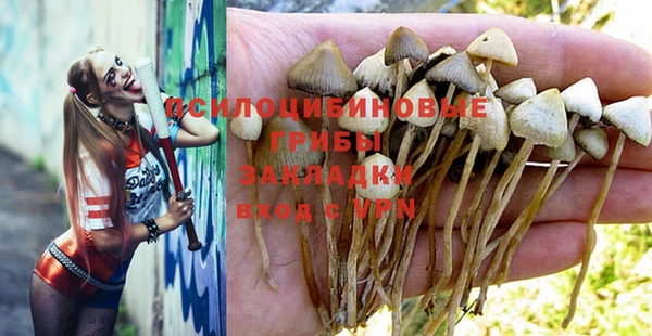 ешки Белокуриха
