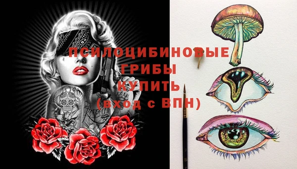 ешки Белокуриха