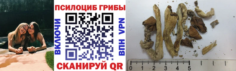 Псилоцибиновые грибы Magic Shrooms  гидра ССЫЛКА  Гусев  купить  сайты 